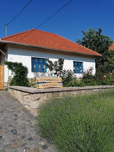Csenduelo Vendeghaz Apartment Noszvaj Exterior photo